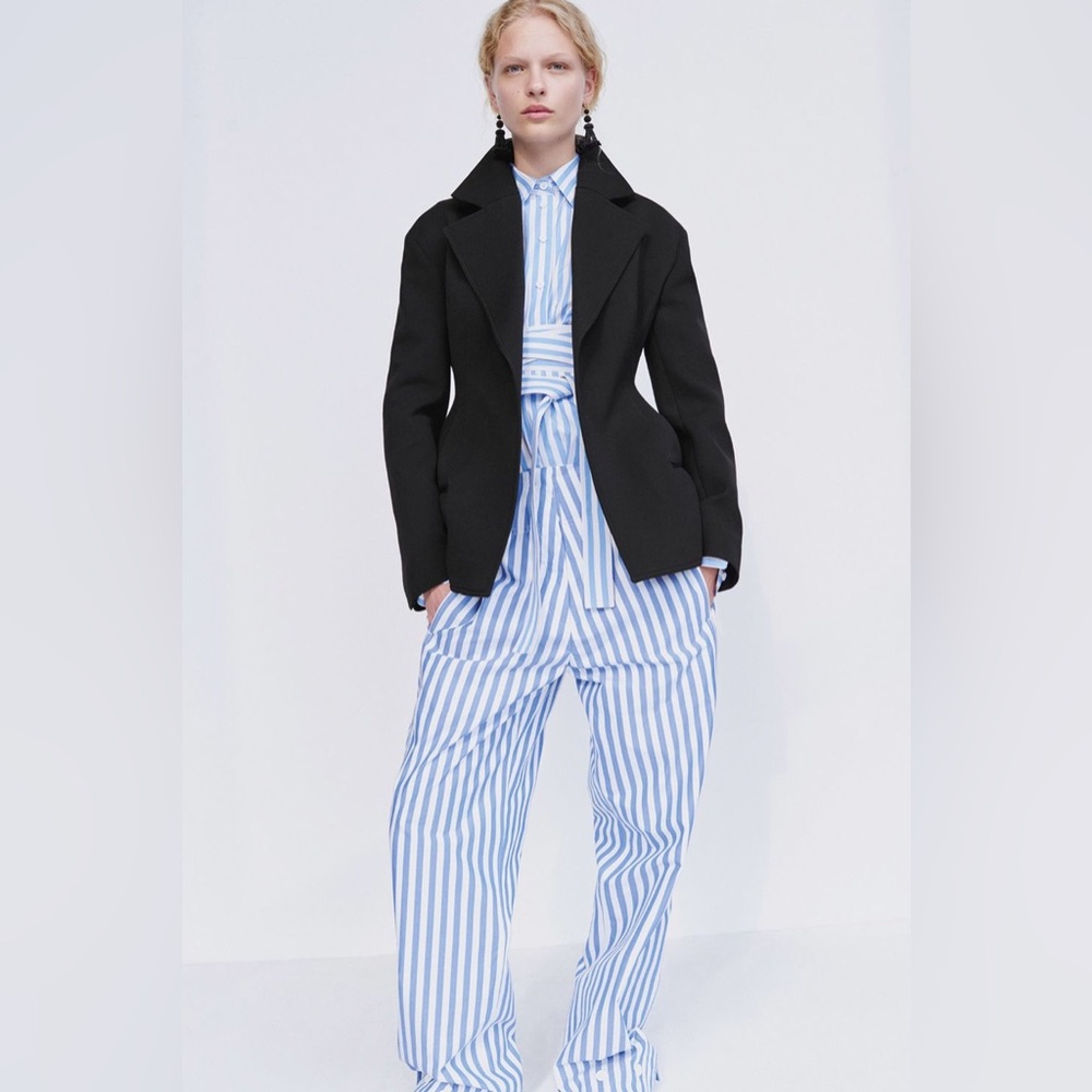 Celine by Phoebe Philo Runway pants